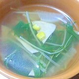 水菜と大根のコンソメスープ